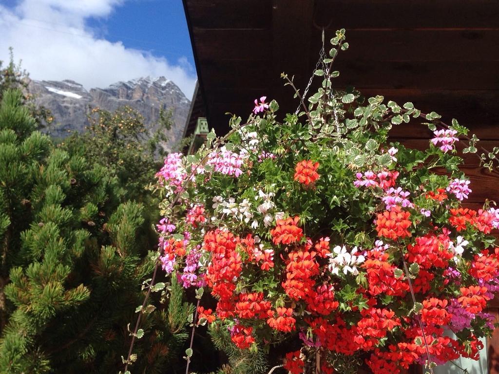 Hotel Villa Nevada Cortina dʼAmpezzo Eksteriør bilde