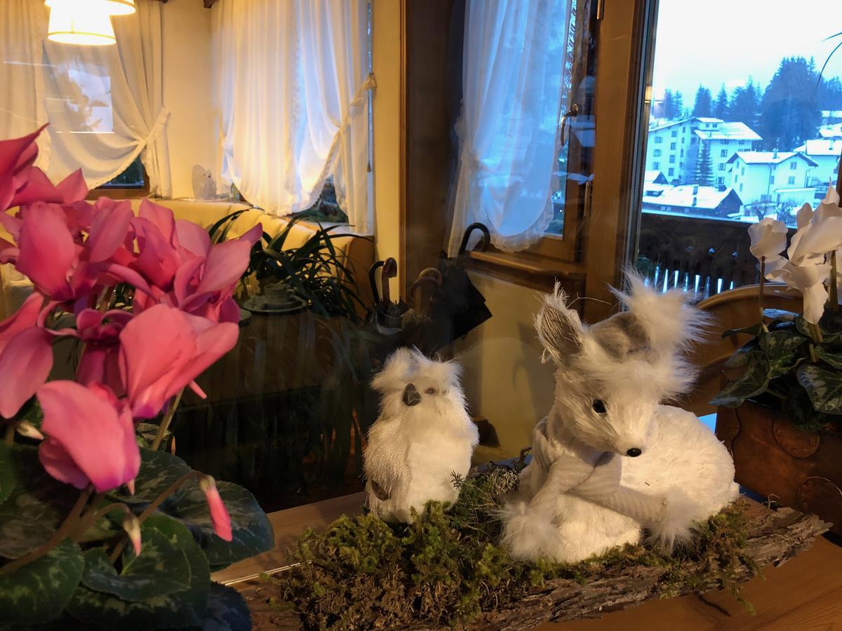 Hotel Villa Nevada Cortina dʼAmpezzo Eksteriør bilde